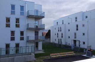 Wohnung mieten in 2334 Vösendorf, 2-Zimmer Wohnung mit Balkon & Loggia in Vösendorf
