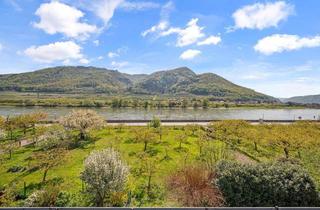 Reihenhaus kaufen in 3620 Spitz, Aufwachen mit Donaublick: Ihr Logenplatz in Spitz an der Donau – Leben, wo die Wachau am schönsten ist