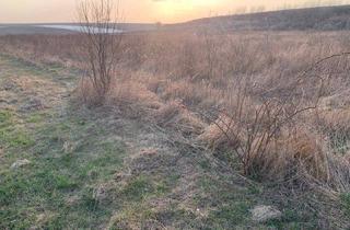 Gewerbeimmobilie kaufen in 2002 Roseldorf, INDUSTRIEGRUNDSTÜCK - 40 Minuten vor Wien