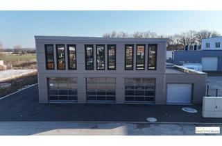 Büro zu mieten in 2504 Sooß, Moderne Neubauhalle im aufstrebenden Industrieviertel von Sooß – flexible Flächen ab sofort verfügbar