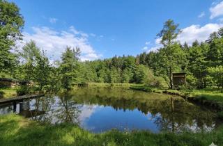 Grundstück zu kaufen in 7532 Litzelsdorf, Naturinvestment mit Substanz: Fischteich, Wald und eigene Quelle in Litzelsdorf