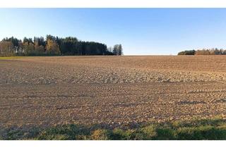 Grundstück zu kaufen in 4522 Sierning, Ca. 4 ha landwirtschaftlicher Nutzgrund zu verkaufen