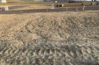 Grundstück zu kaufen in 2002 Herzogbirbaum, Sonniges Baugrundstück – 45 Minuten vor Wien