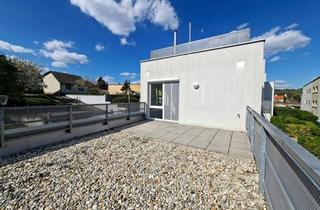 Maisonette mieten in 2405 Bad Deutsch-Altenburg, 4-Zimmer-Maisonette mit Garten und Dachterrasse in Bad Deutsch Altenburg