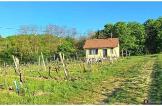Haus kaufen in 7474 Eisenberg an der Pinka, Eisenberg: Kellerstöckel mit Weingarten!