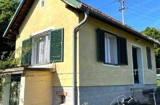 Haus kaufen in 7474 Eisenberg an der Pinka, Eisenberg: Kellerstöckel mit Weingarten!