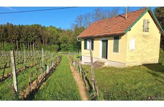 Haus kaufen in 7474 Eisenberg an der Pinka, Eisenberg: Kellerstöckel mit Weingarten!