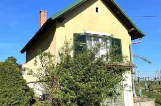 Haus kaufen in 7474 Eisenberg an der Pinka, Eisenberg: Kellerstöckel mit Weingarten!