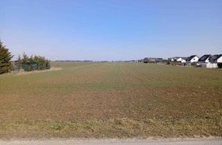 Grundstück zu kaufen in Oed Aigenstraße, 2230 Gänserndorf, 2 Grundstücke, Bauland mit 601 m2 und 613 m2 in Gänserndorf-Süd