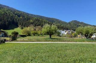 Grundstück zu kaufen in 9805 Baldramsdorf, Großes Grundstück mit herrlichem Weitblick