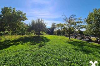 Grundstück zu kaufen in 6912 Hörbranz, Hörbranz: Baugrundreserve mit Altbestand