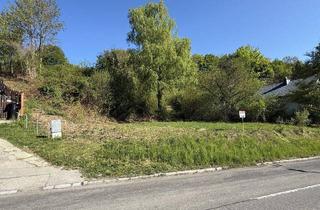 Grundstück zu kaufen in 3413 Hintersdorf, Maximale Optionen!