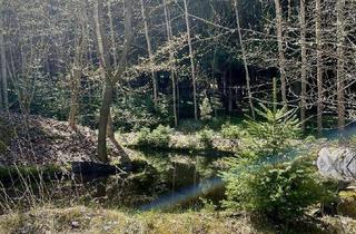 Haus kaufen in 4240 Freistadt, Autarkes Haus auf ca. 7670 m² mit Wald und Fischteich!