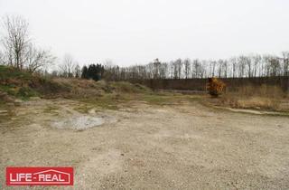  in 4643 Pettenbach, Top - Gewerbegrundstück