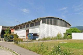 Büro zu mieten in Sonnenstraße, 9500 Villach-Innere Stadt, Großzügige Lagerhalle in Villach-Lind