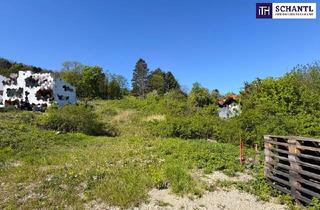 Grundstück zu kaufen in Steinbrunngasse, 3400 Klosterneuburg, Sonnige Liegenschaft mit Entwicklungspotenzial in Klosterneuburg
