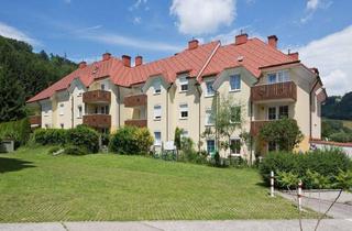 Wohnung kaufen in Prefastraße 14, 15, 16, 3180 Lilienfeld, MARKTL-LILIENFELD II/3, geförderte Mietwohnung mit Kaufoption, Haus 2-1.OG TOP 3, 1000/00008770/00001203