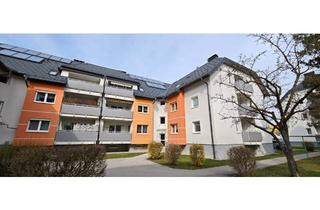 Wohnung mieten in Neubaustraße 15 Top 3, 4303 Sankt Pantaleon, [Telefonnummer entfernt]-Zimmer-Wohnung 97m² in St. Pantaleon