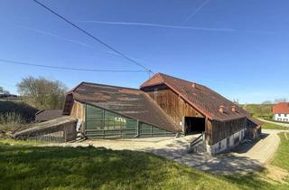 Grundstück zu kaufen in 4851 Piesdorf, Bauland Dorfgebiet mit Bestand – 1.912 m² Potenzialfläche