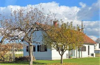 Bauernhäuser zu kaufen in 8492 Dietzen, Kleiner Bauernhof mit Bauland in Halbenrain - 5.625 m² Gesamtfläche