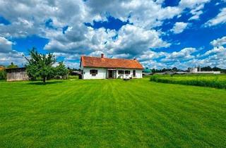 Bauernhäuser zu kaufen in 8492 Dietzen, Kleiner Bauernhof mit Bauland in Halbenrain - 5.625 m² Gesamtfläche
