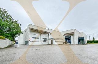 Büro zu mieten in 4600 Wels, Lagerhalle samt Büros in verkehrstechnisch optimaler Lage in Wels zu vermieten! Gleisanschluss vorhanden! Erweiterbar!