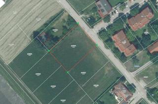 Grundstück zu kaufen in Gartengasse 16, 7035 Steinbrunn, Ideals Baugrundstück - 1.500 m² Für ihr Individuelles Wohnprojekt!