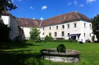 Garagen kaufen in 2051 Deinzendorf, Historische Schlossmühle mit Einzigartigem Renaissance-Raum - ein Einzigartiges Juwel Für Liebhaber und Investoren!