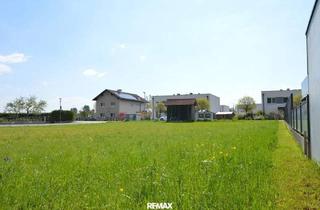 Grundstück zu kaufen in 3372 Blindenmarkt, Ebener Baugrund ohne Bauverpflichtung