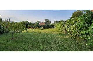 Grundstück zu kaufen in 8355 Tieschen, Tolles Baugrundstück in Tieschen – ca. 1.000 m² mit viel Potenzial