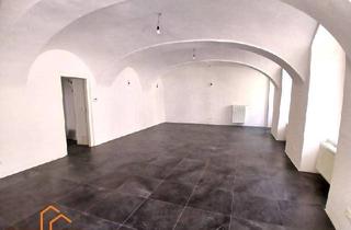 Büro zu mieten in Penzinger Straße, 1140 Wien, ***REPRÄSENTATIVE BÜRO- / GESCHÄFTSFLÄCHE - SCHÖNBRUNN-NÄHE***