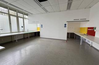 Büro zu mieten in 8020 Graz, Vielseitige Gewerbefläche ca. 382 m² – Büro, Betrieb & Lager - zu mieten