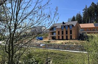 Penthouse kaufen in 4324 Rechberg, Penthouse mit Dachterrasse und Ausblick - Neubau!