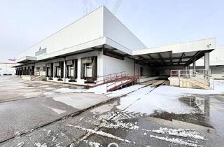 Büro zu mieten in 2351 Wiener Neudorf, Lagerfläch in Top-Verkehrslage in Wiener Neudorf