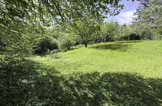 Grundstück zu kaufen in Wolfersberg, 1140 Wien, Villengrundstück am Wolfersberg