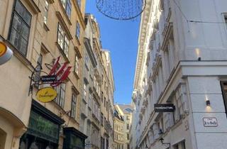 Maisonette mieten in Graben, 1010 Wien, Grabennähe! Dachmaisonette mit bezaubernden Dachgarten in denkmalgeschütztem Barockhaus!