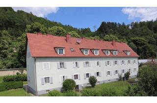 Wohnung mieten in Grabenfeldstraße 45/8, 8600 Bruck an der Mur, Günstige Singlewohnung in Bruck zu vermieten - geförderte Miete - 1 Zimmer