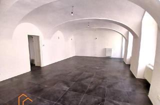 Geschäftslokal mieten in Penzinger Straße, 1140 Wien, ***REPRÄSENTATIVE BÜRO- / GESCHÄFTSFLÄCHE - SCHÖNBRUNN-NÄHE***