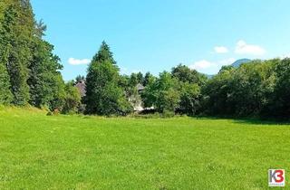 Gewerbeimmobilie kaufen in 9150 Bleiburg, K3 - HISTORISCHES ANWESEN mit großem Potential. 2,4 ha. Alleinlage. Großes Wohnhaus und Nebengebäude. Renovierungsbedarf.