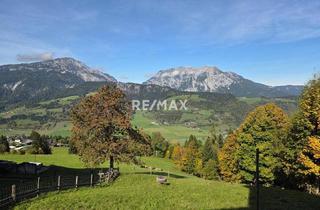Bauernhäuser zu kaufen in 8962 Pruggern, Rarität-Typisches, altes steirisches Bauernhaus mit traumhaften Ausblick am Pruggererberg!