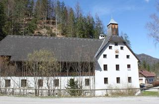Gewerbeimmobilie kaufen in Salza, Wildalpen, 8924 Wildalpen, Büro, Seminar, Wohnen, in Wunderschöner Landschaft!