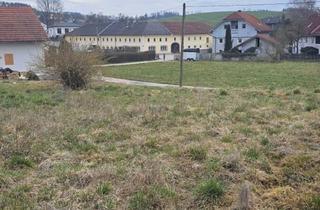 Grundstück zu kaufen in 4611 Buchkirchen, Großzügiges 900M² Grundstück in 4611 Buchkirchen - ihr Traumgrund zum Top-Preis!