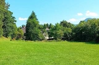 Immobilie kaufen in 9150 Bleiburg, k3 - Historisches Anwesen mit Großem Potential. 2,4 Ha. Alleinlage. Großes Wohnhaus und Nebengebäude. Renovierungsbedarf.