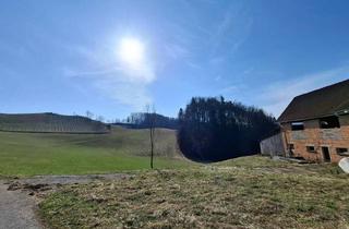Haus kaufen in Leutschach, 8552 Eibiswald, Grundstück mit Nebengebäude und Altbestand in Fötschach
