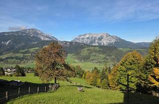 Bauernhäuser zu kaufen in 8962 Pruggern, Rarität-Typisches, altes steirisches Bauernhaus mit traumhaften Ausblick am Pruggererberg!