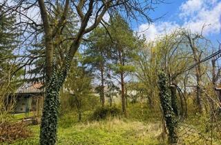 Grundstück zu kaufen in 1100 Wien, Wohnbaugrundstück in Oberlaa Gegenüber dem Liesingbach
