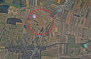 Immobilie kaufen in Brünner Straße, 1210 Wien, Ackergrundstück an der Brünner Straße Nahe Stammersdorf (€40,-/m²)