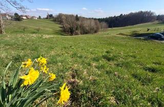 Grundstück zu kaufen in Graz, Weiz, Gleisdorf, 8062 Hart bei Eggersdorf, Eine Gelegenheit Für Naturverbundene: Baugrundstück am Rande von Kumberg bei Graz