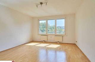 Wohnung mieten in 1120 Wien, u4 Schönbrunn Nebenan !