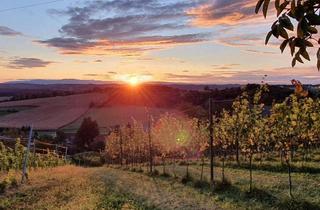 Haus kaufen in Nähe: Bad Radkersburg, Kapela – Slowenien!, 8490 Bad Radkersburg, In Slowenien! Winzerhaus mit Weingarten und Blick bis zum Horizont!